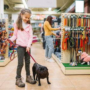 Une animalerie avec des produits d'animaux