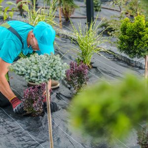 Un paysagiste sur un terrain pour un beau décor