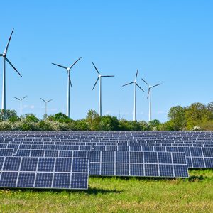 Des ressources naturelles renouvelables pour la planète